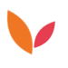 red and orange leaf